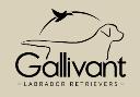 Gallivant Labradors logo